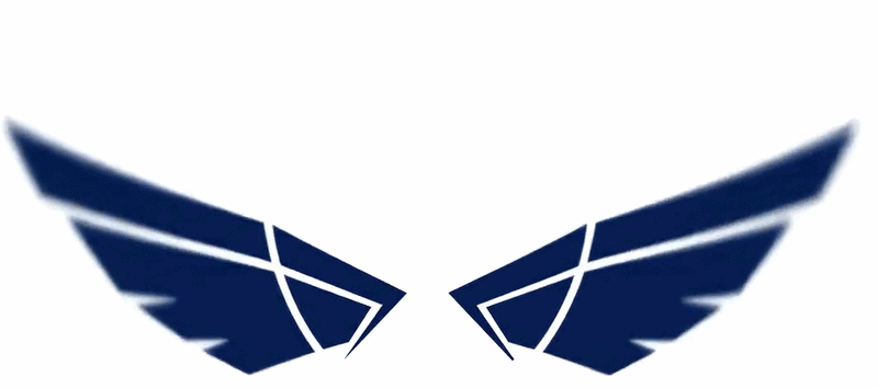 North Wings logo